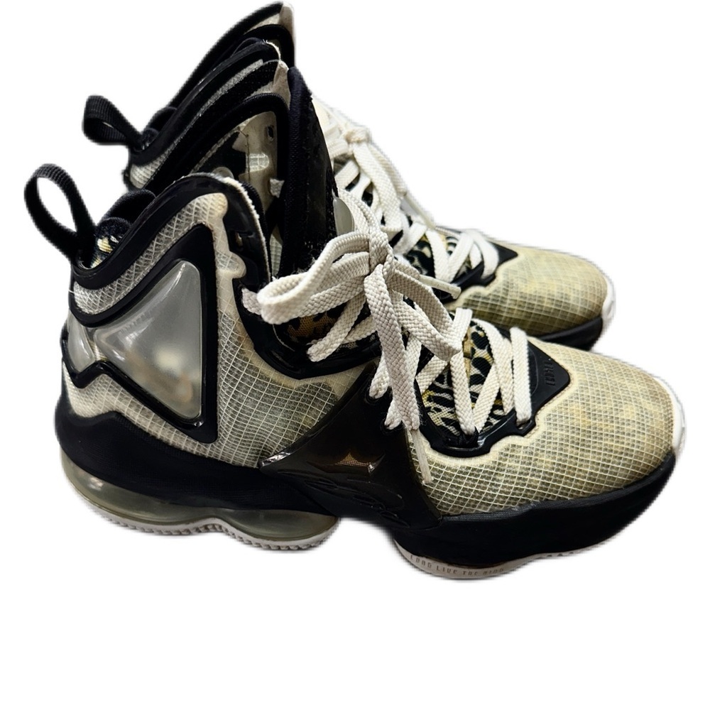 Nike Labron Xix 9 space jam Shoes in Black and Cream